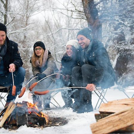 Forest Chalet, 15 Min To Salzburg Olt Town, And Most Beautiful Lakes, Secluded Location, 1,000 Sqm Garden, Mountainview, Panorama Sauna, Bath Whirlpool, Bbq&Bikes&Sunbeds For Free, Up To 10 P Golling an der Salzach Esterno foto
