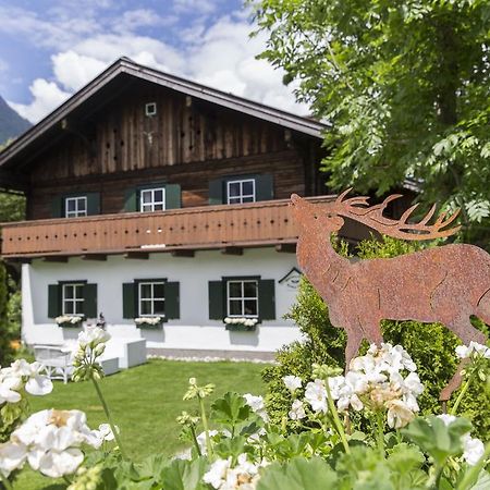 Forest Chalet, 15 Min To Salzburg Olt Town, And Most Beautiful Lakes, Secluded Location, 1,000 Sqm Garden, Mountainview, Panorama Sauna, Bath Whirlpool, Bbq&Bikes&Sunbeds For Free, Up To 10 P Golling an der Salzach Esterno foto