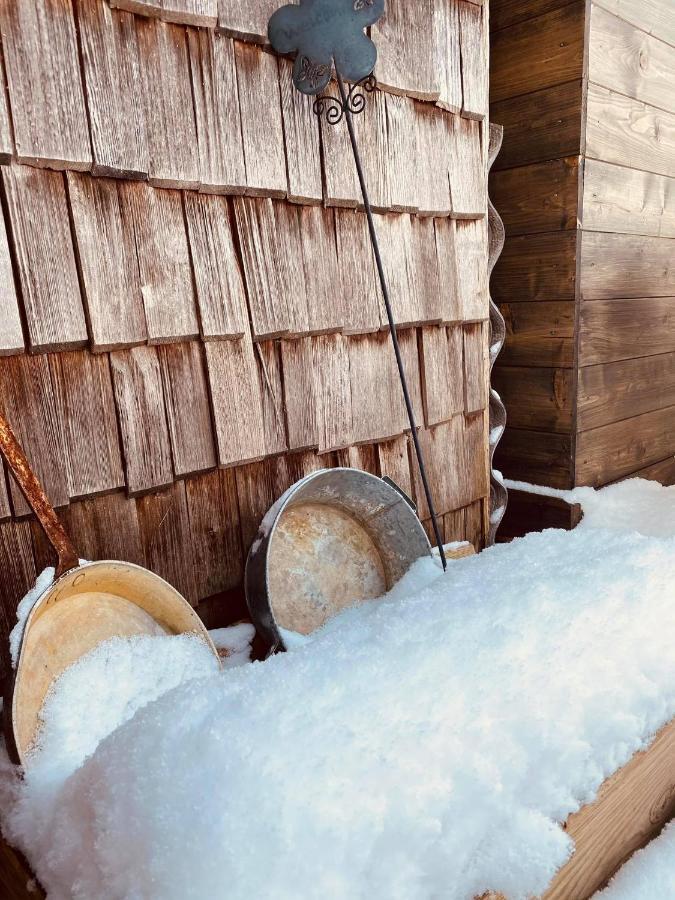 Forest Chalet, 15 Min To Salzburg Olt Town, And Most Beautiful Lakes, Secluded Location, 1,000 Sqm Garden, Mountainview, Panorama Sauna, Bath Whirlpool, Bbq&Bikes&Sunbeds For Free, Up To 10 P Golling an der Salzach Esterno foto