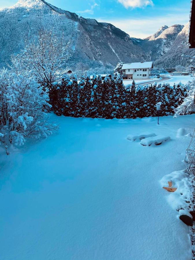 Forest Chalet, 15 Min To Salzburg Olt Town, And Most Beautiful Lakes, Secluded Location, 1,000 Sqm Garden, Mountainview, Panorama Sauna, Bath Whirlpool, Bbq&Bikes&Sunbeds For Free, Up To 10 P Golling an der Salzach Esterno foto