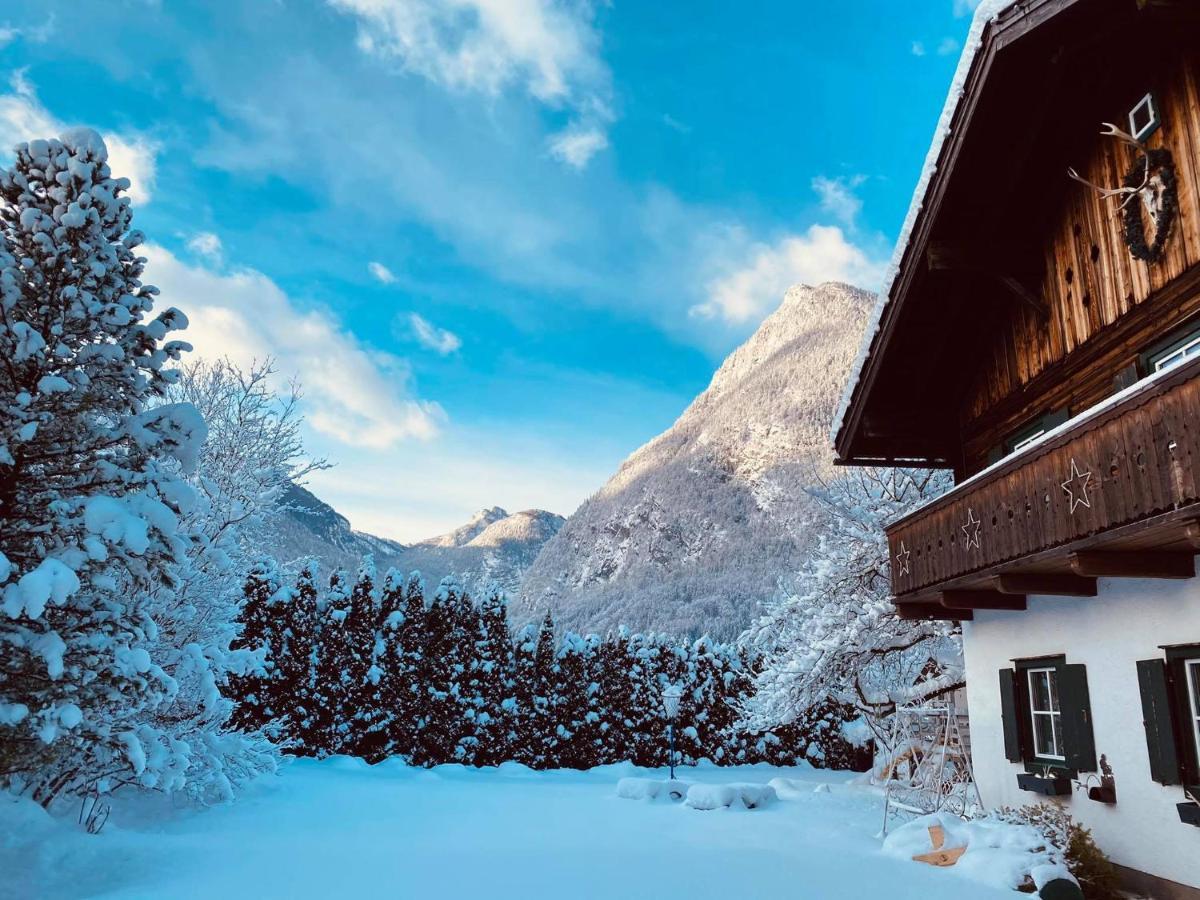 Forest Chalet, 15 Min To Salzburg Olt Town, And Most Beautiful Lakes, Secluded Location, 1,000 Sqm Garden, Mountainview, Panorama Sauna, Bath Whirlpool, Bbq&Bikes&Sunbeds For Free, Up To 10 P Golling an der Salzach Esterno foto