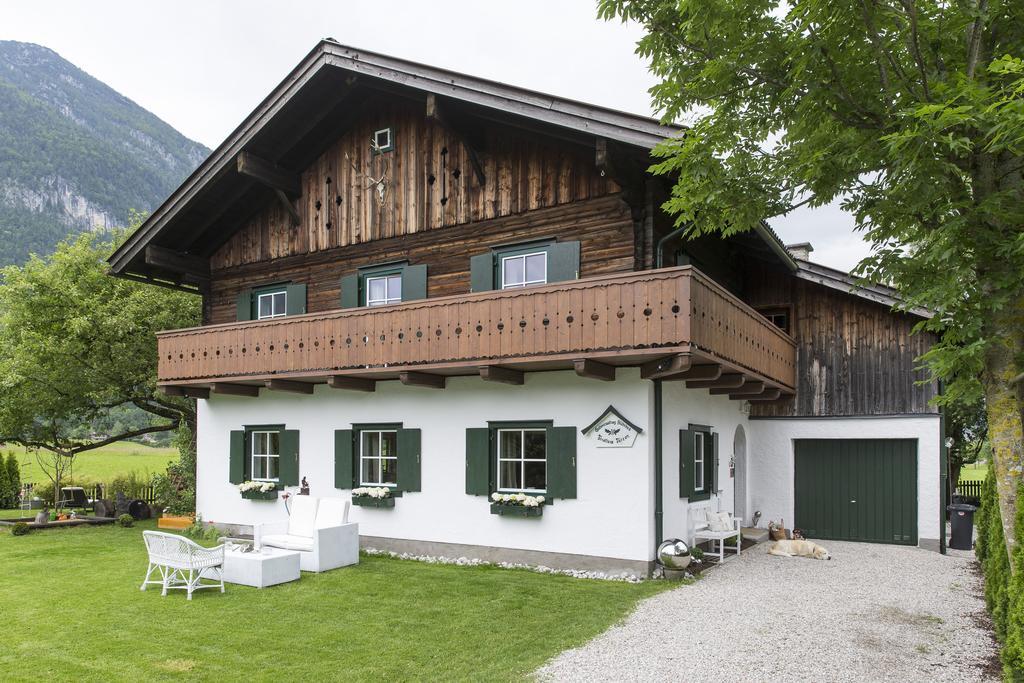 Forest Chalet, 15 Min To Salzburg Olt Town, And Most Beautiful Lakes, Secluded Location, 1,000 Sqm Garden, Mountainview, Panorama Sauna, Bath Whirlpool, Bbq&Bikes&Sunbeds For Free, Up To 10 P Golling an der Salzach Esterno foto