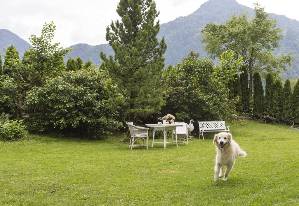 Forest Chalet, 15 Min To Salzburg Olt Town, And Most Beautiful Lakes, Secluded Location, 1,000 Sqm Garden, Mountainview, Panorama Sauna, Bath Whirlpool, Bbq&Bikes&Sunbeds For Free, Up To 10 P Golling an der Salzach Esterno foto