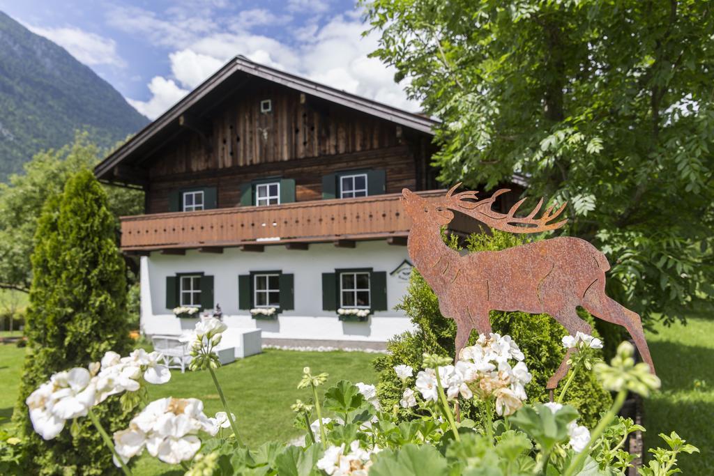 Forest Chalet, 15 Min To Salzburg Olt Town, And Most Beautiful Lakes, Secluded Location, 1,000 Sqm Garden, Mountainview, Panorama Sauna, Bath Whirlpool, Bbq&Bikes&Sunbeds For Free, Up To 10 P Golling an der Salzach Esterno foto
