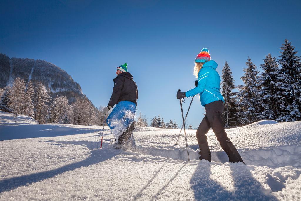 Forest Chalet, 15 Min To Salzburg Olt Town, And Most Beautiful Lakes, Secluded Location, 1,000 Sqm Garden, Mountainview, Panorama Sauna, Bath Whirlpool, Bbq&Bikes&Sunbeds For Free, Up To 10 P Golling an der Salzach Esterno foto